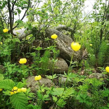 Puistola & Sauna, Near Santa's Village 아파트 *