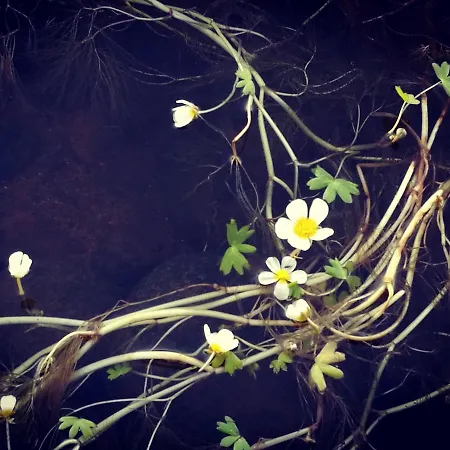 아파트 Puistola & Sauna, Near Santa's Village 로바니에미