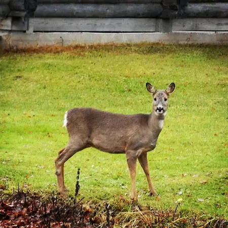Puistola & Sauna, Near Santa's Village *